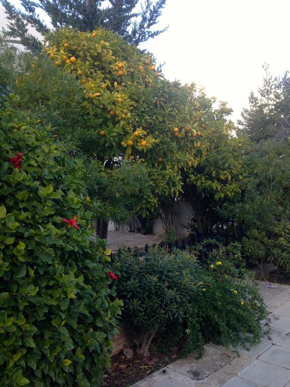 Paphos Studios מראה חיצוני תמונה